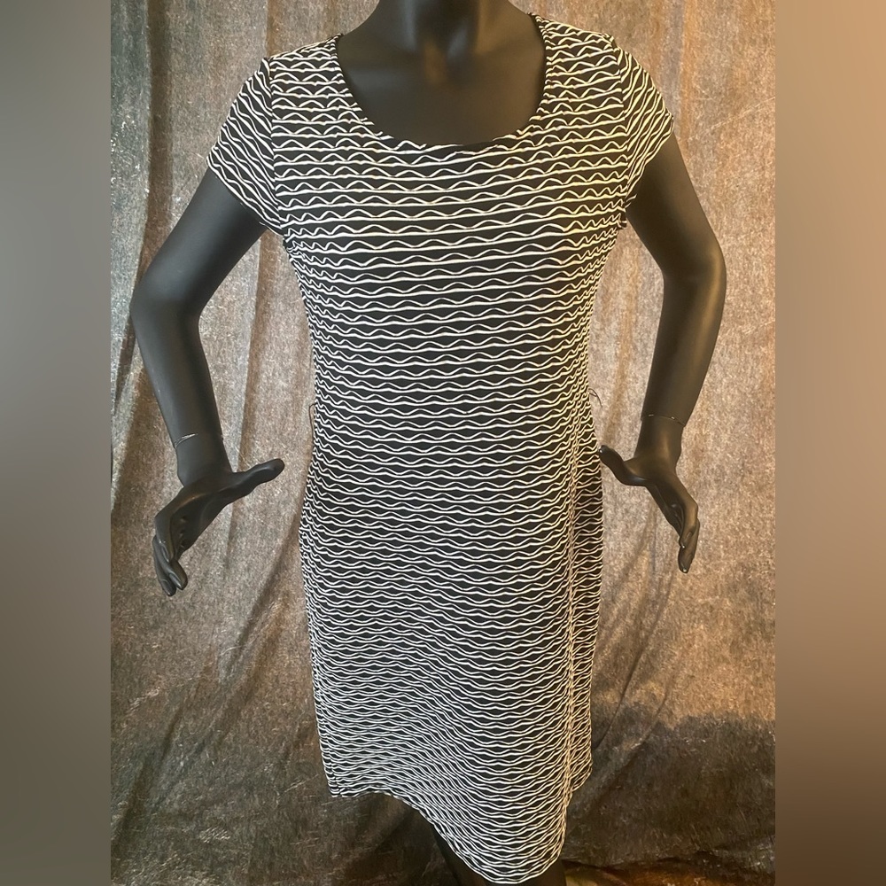 Sharango Textured Graphic Design Shift Dress